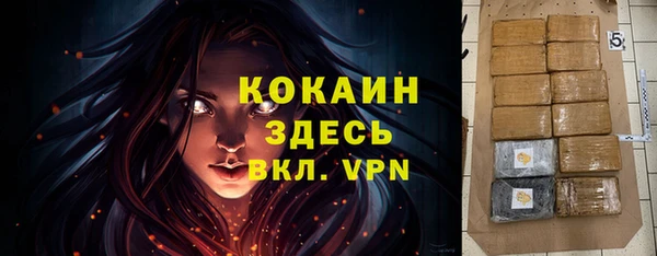 apvp Пересвет