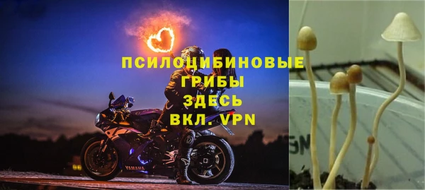 прущая мука Алзамай
