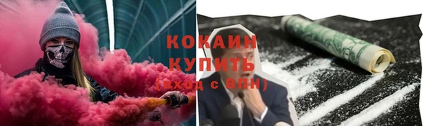дурь Пестово