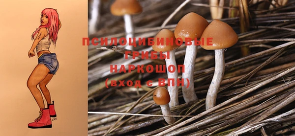 дурь Пестово