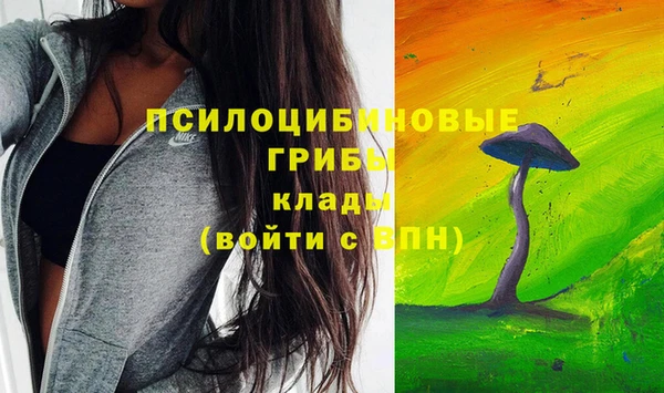 прущая мука Алзамай