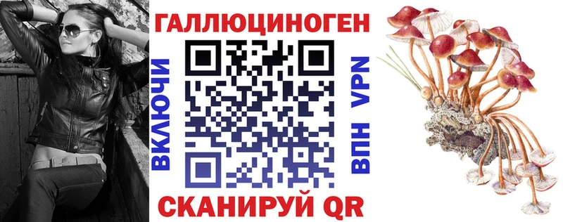 Галлюциногенные грибы Magic Shrooms  Закаменск 